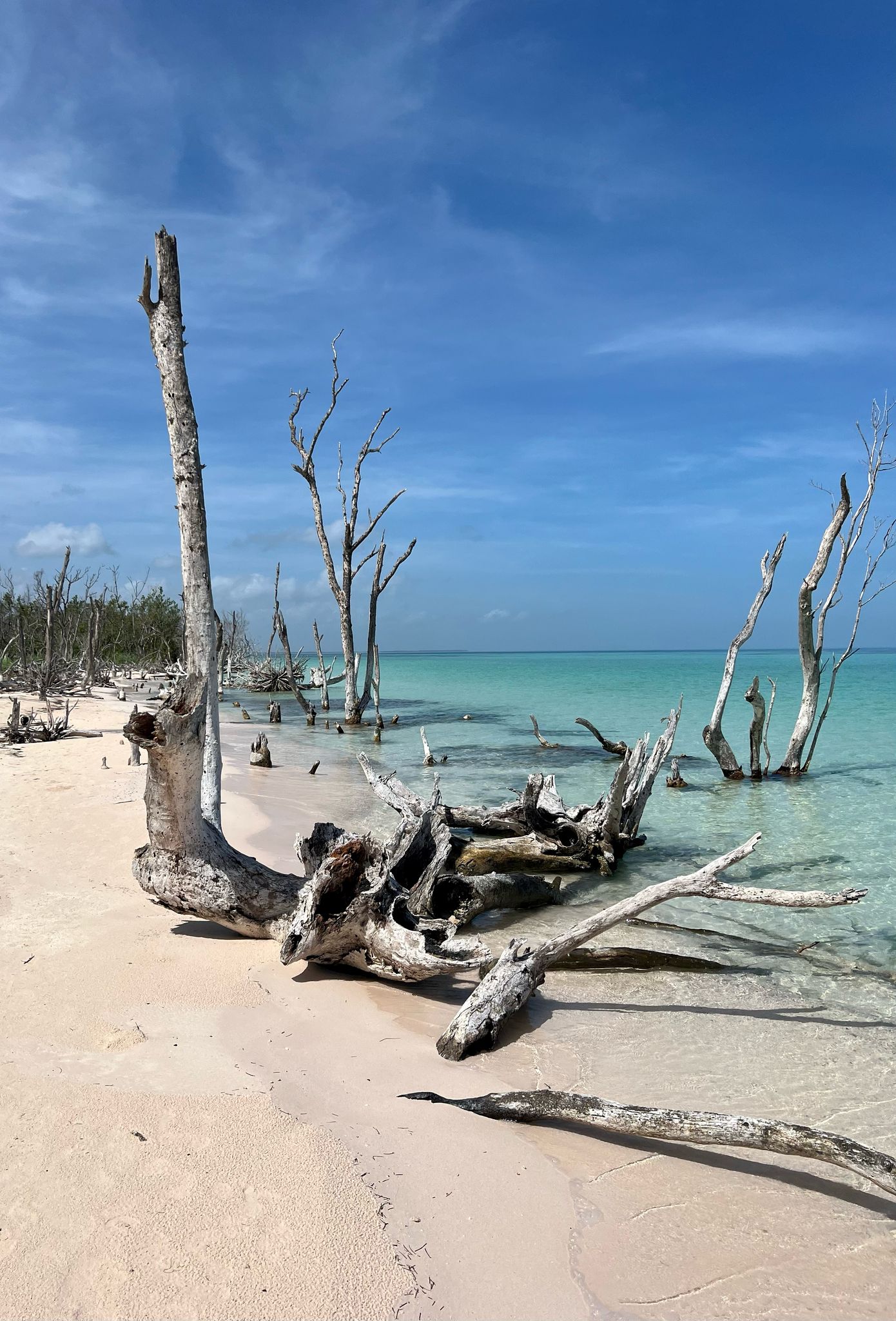 Playa paradisíaca con aguas cristalinas